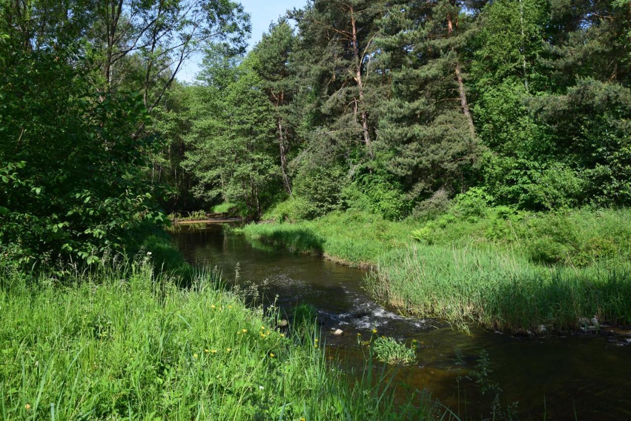 Stary Janow - Pensjonat Staporkow Exterior foto